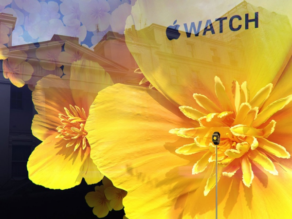 Apple イギリスの百貨店で新しいapple Watchのショーウインドウを公開 小龍茶館